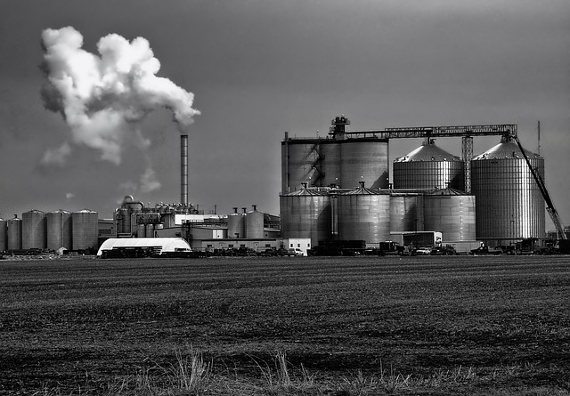 Debatten om ethanol: Fordelene og udfordringerne ved at bruge plantebaseret brændstof